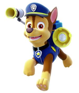 Chase